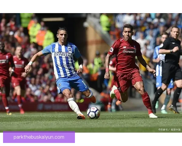 布莱顿本赛季表现稳健，竞争力持续提升